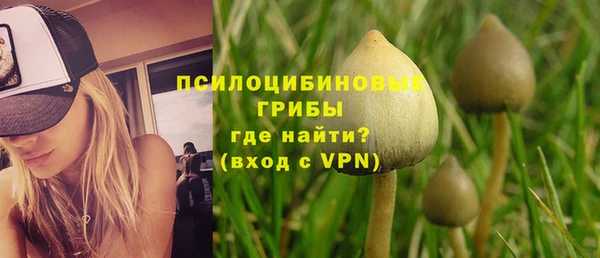 мдпв Покровск